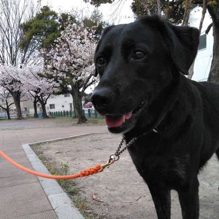 A72a539a c7b0 4e09 983f 6a0fbcad287c 1585279512338