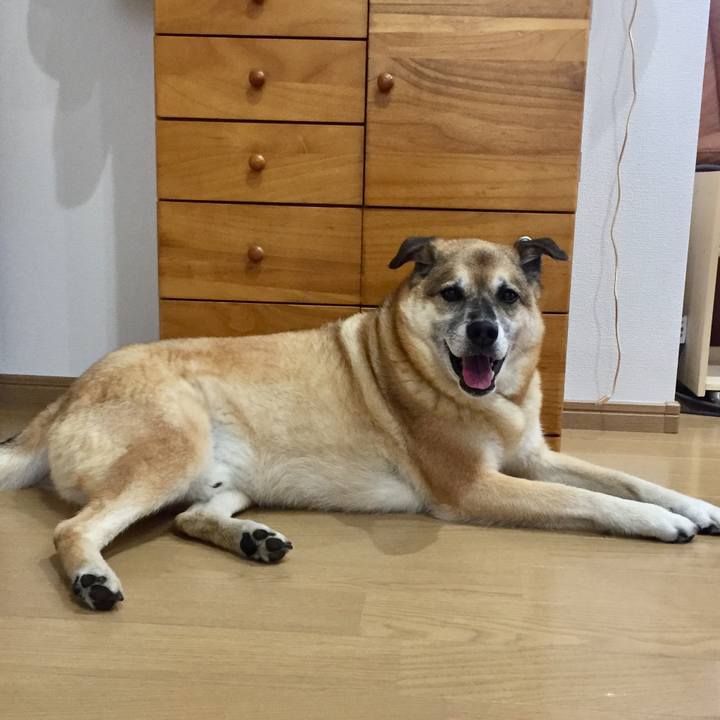 A72a78dd ab8b 48b2 8c89 941e3b9b8521 1564614104449