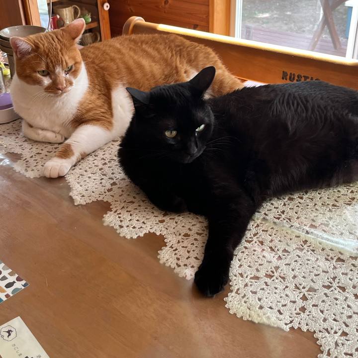 A72a9974 5933 4174 81f1 be8a77ce622f 1754440934222