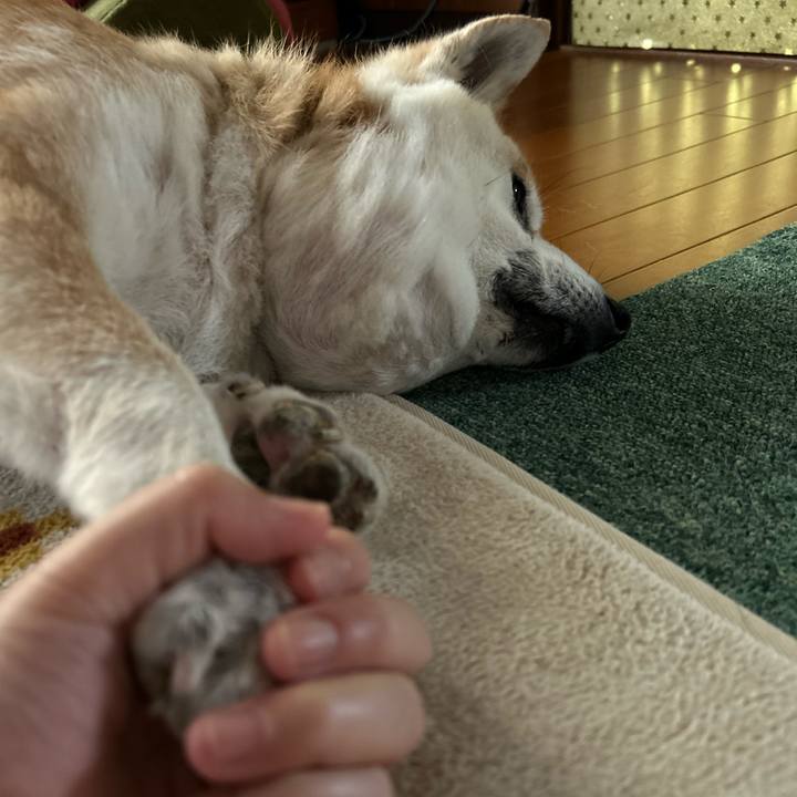 A72ae0fc fc62 4f13 b2f9 9885f6a3177a 1751451873532