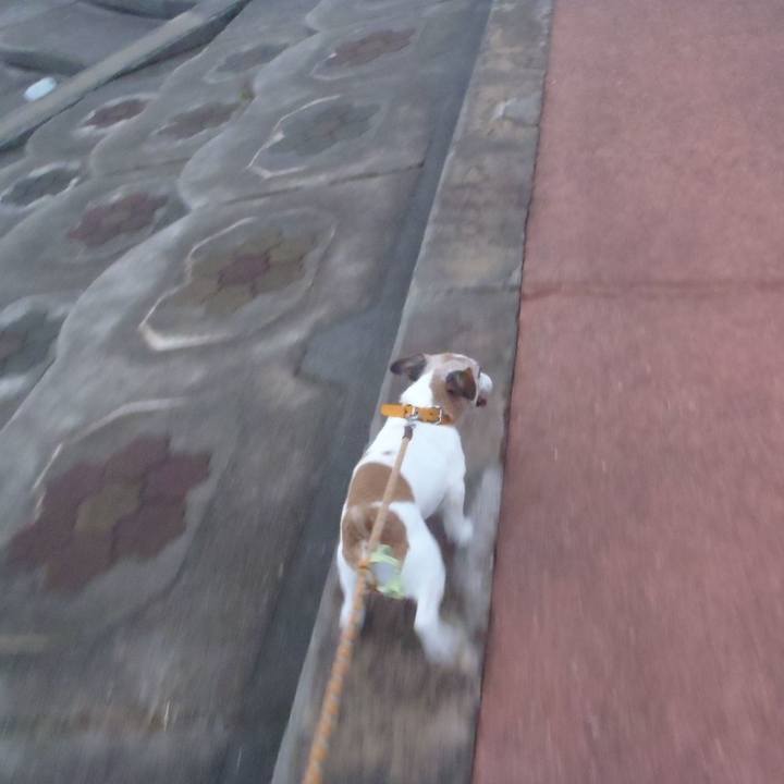 A72aeb0b 779c 47fe 91cb f8f7acdd0ca4 1542017233211