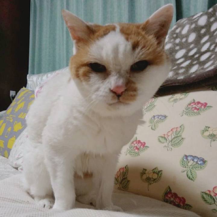 A72aed48 0ee5 4b7c 81de 0e2c967db1f5 1573892365450