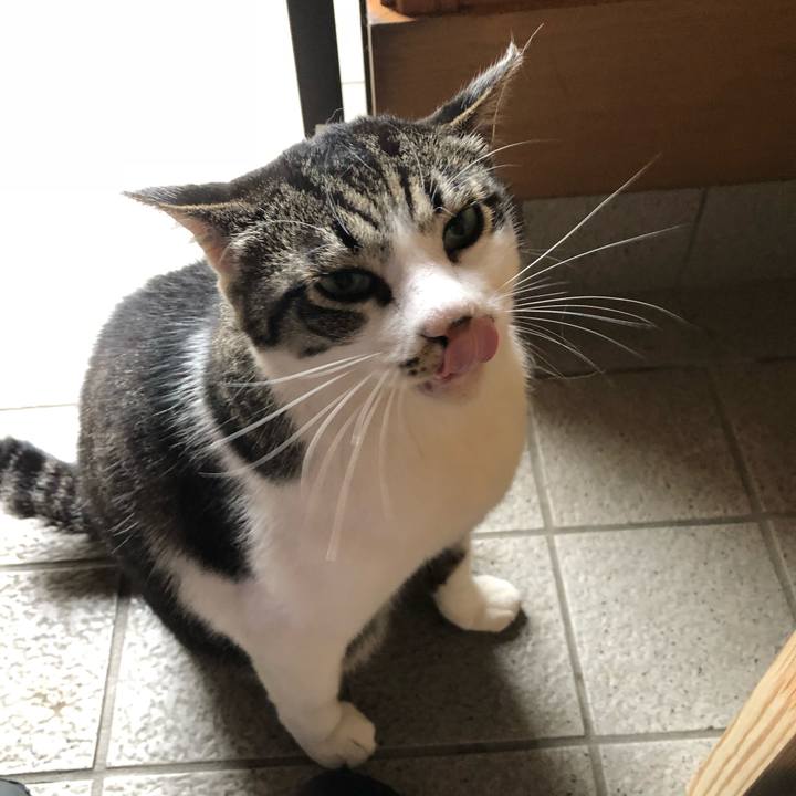 A72af528 aff0 4b36 b807 fb6de4b3fd34 1529735101463