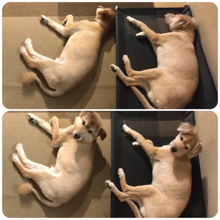 A72b043f f28e 4f12 b442 9ceef4e0b28a 1595975566734