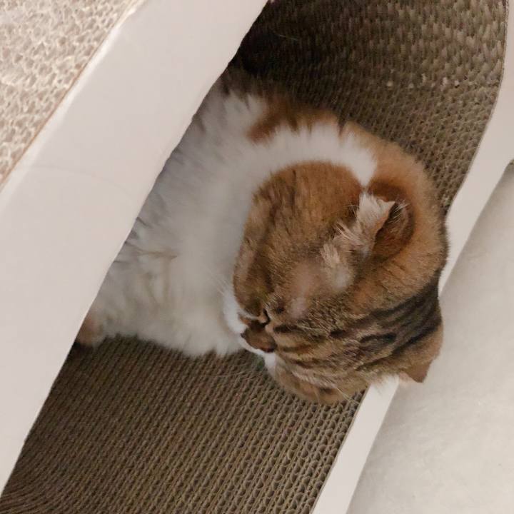 A72b0440 8bdb 45f3 80ae 67b9364989ca 1567735612627