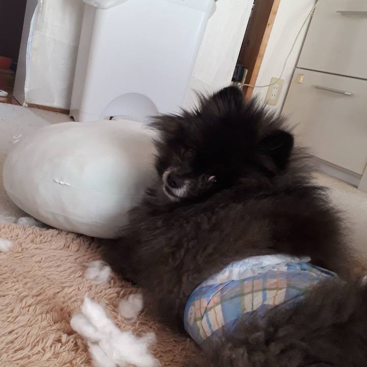 A72b1966 eea9 4d2e 9f6d a779991bdeb7 1548132388009