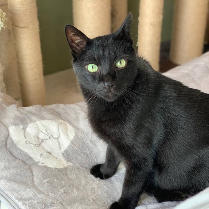 A72b4231 f48b 4871 a053 dacee97fd7c1 1574820431470