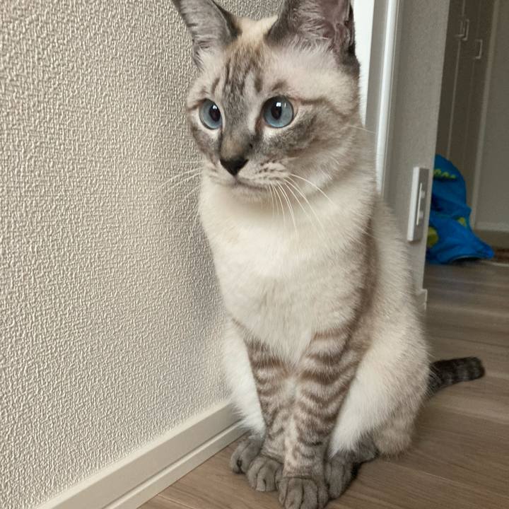 A72b4484 750c 412b a32e 9c8accada0dd 1601341550205