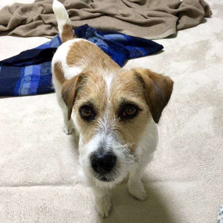 A72b4ff0 6e6a 4b62 a61a eef718605aeb 1544169818403