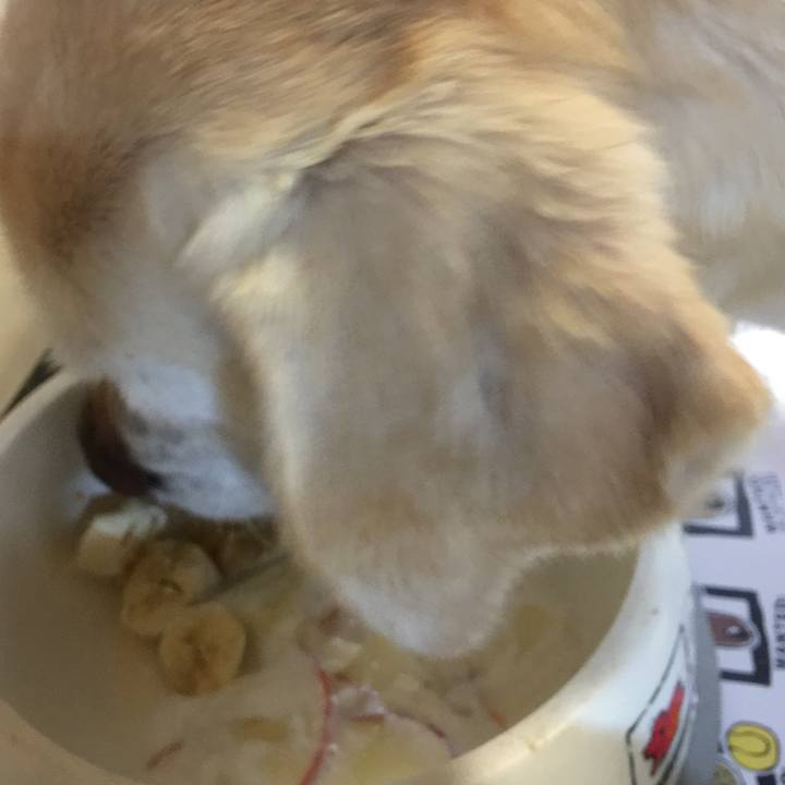 A72b644e 3845 476f 8048 d05a0dfa01a6 1512444639663