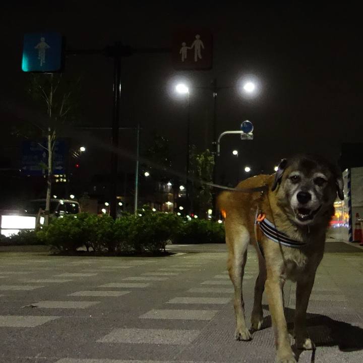 A72b7c82 ae88 4985 9659 f96fb03ed939 1537361242408