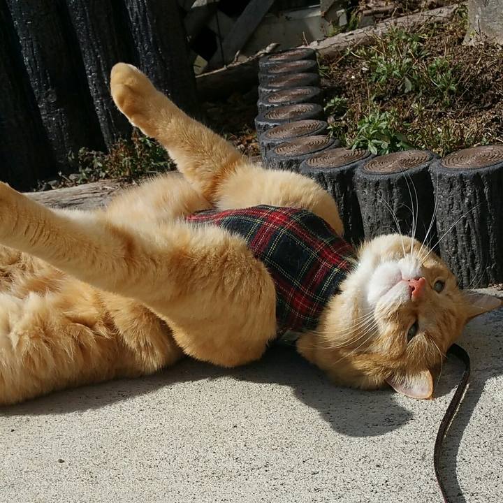 A72b86b9 c3ef 4fb8 b26d fe3fe82bb2eb 1582253022724