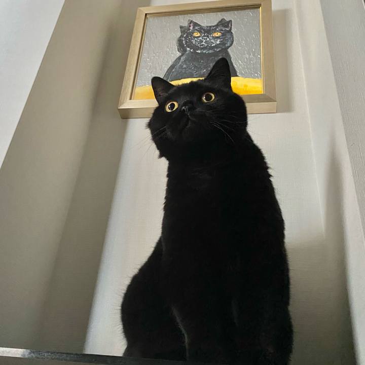 A72bd837 e2ef 4781 8e61 f5089ae18618 1685349975545