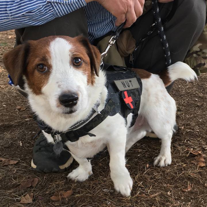 A72c3178 d059 4fa7 b486 746219ef00c0 1584920212804