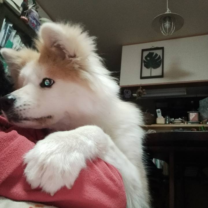 A72c4742 9406 40f1 89da 34fb7fa70701 1644063739900