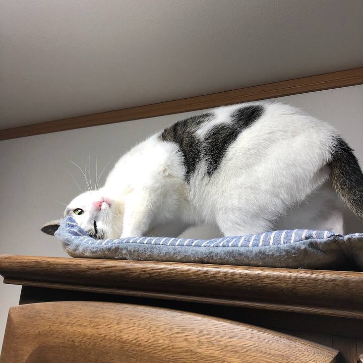 A72c5c84 ad8d 44ea a662 3f001350dca5 1671535552872