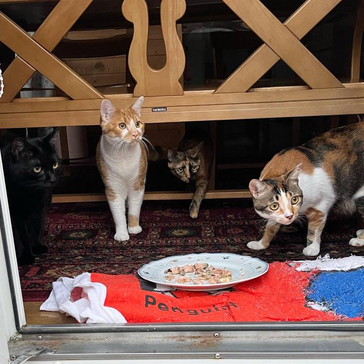 A72c8e61 5701 4759 a5cd 13555d505e6a 1683152160703