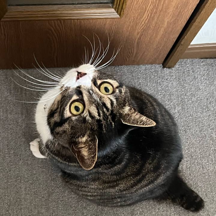 A72c9ac1 6100 4ec3 ad47 60a4adce0dc8 1773098064850