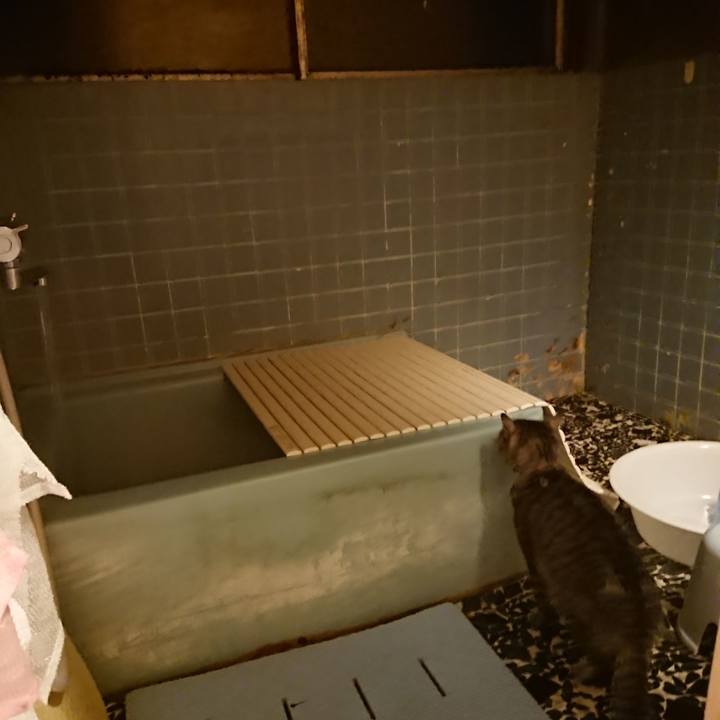 A72cc585 63f1 4f1d ad2e 89ee87216ac6 1580722683377