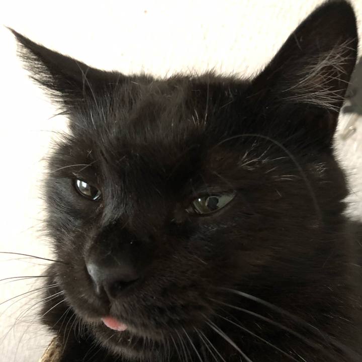 A72cc5d5 0cf9 4597 b6bd 32270553ad98 1565858532501