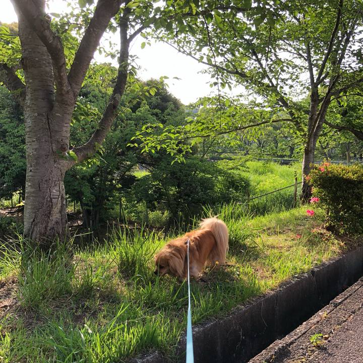 A72d0ea3 395e 42da bddc 7f4c5ab50e03 1559598495052