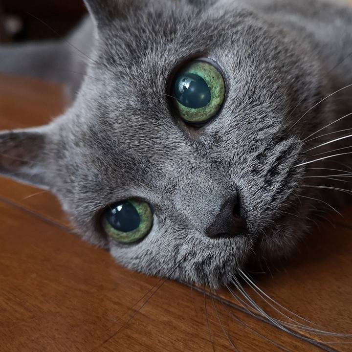 A72d2488 cd4b 43b3 b343 9c73fd40496d 1629499360616