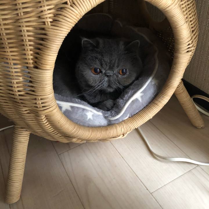 A72d3100 07db 486b 878e c17b7dfc6a1c 1581841932251