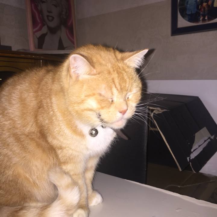 A72d4931 0c24 44e5 b5a8 b0b979130435 1547591901933