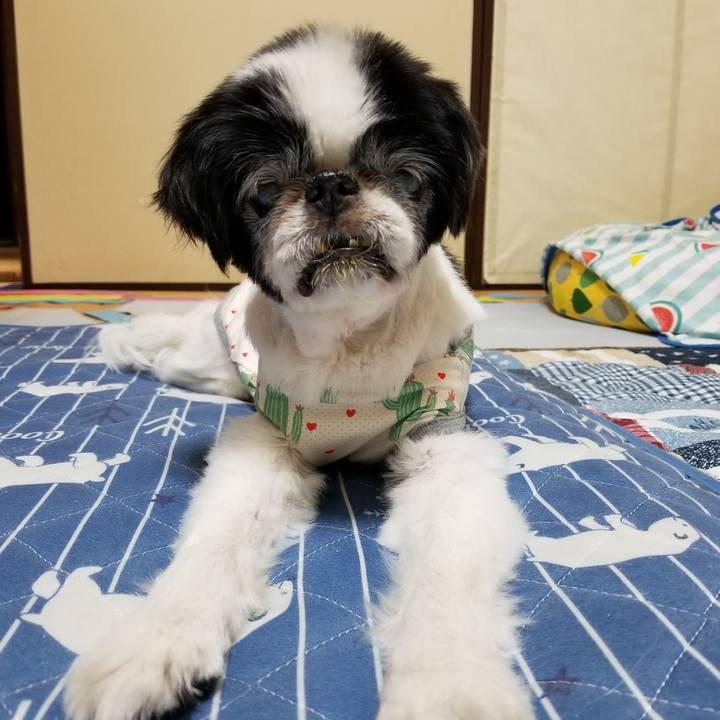 A72d4d1f 8163 4191 af5f 1bd82bfb6c88 1632047638679