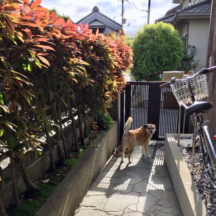 A72d9244 a771 461d 8f90 119db661da4d 1524699252202