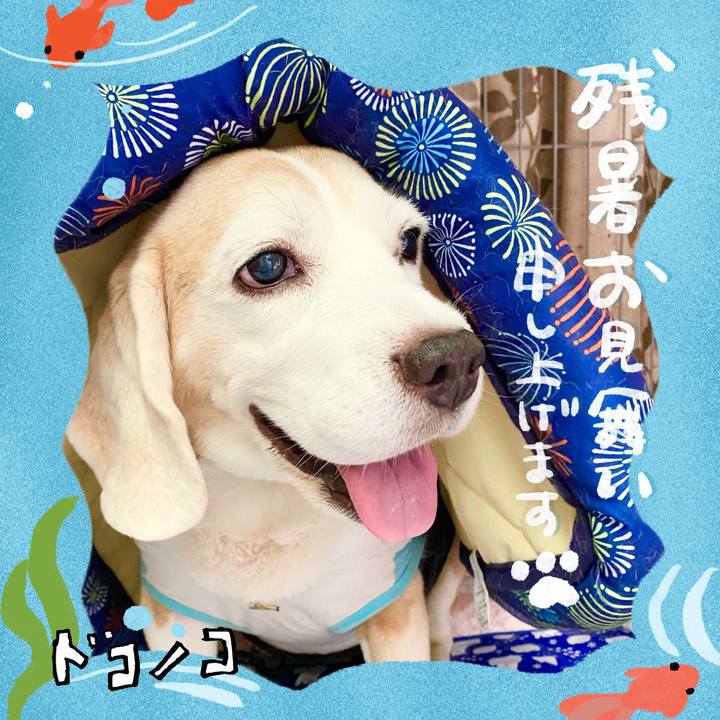 A72ddf7e ad33 464c b813 56cd7dd84bb0 1723169291197