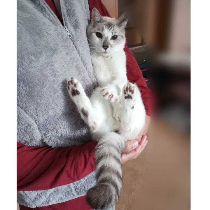 A72de4d3 8542 4954 992f 1304f59ae4d9 1701500991892