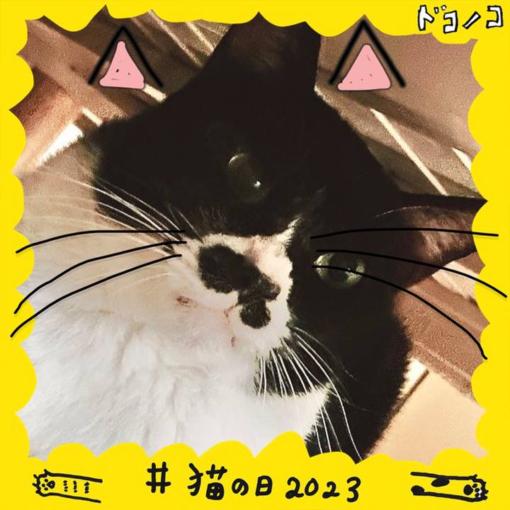 A72df21a ee62 431d 9217 98eed6ddff16 1677014933294