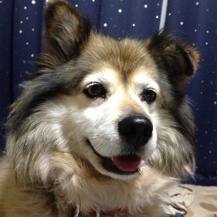 A72dfdb9 6ac1 411f 802e 73e32777718d 1560824846604