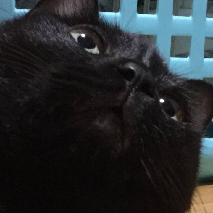 A72e3445 41a7 4018 b6cd 26994986339d 1568251609071