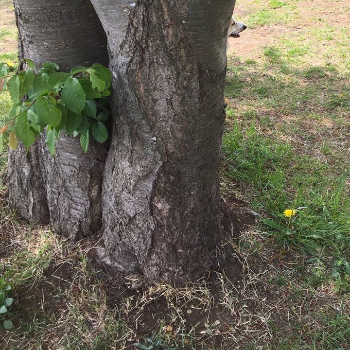 A72e394f 9db6 459e 84f9 9a827332f2e5 1555935614017