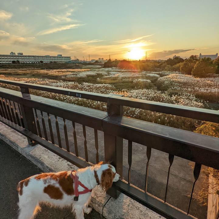 A72ef661 23a4 46ff 9fa2 33f0f986e1f3 1636792554081