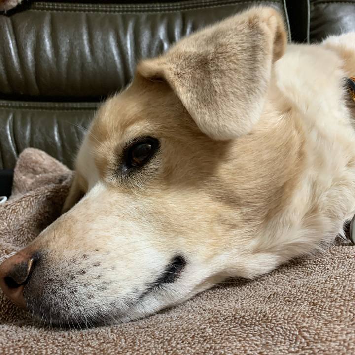 A72f0add d1ce 4dd4 ae00 efc0a4045b96 1579269213509