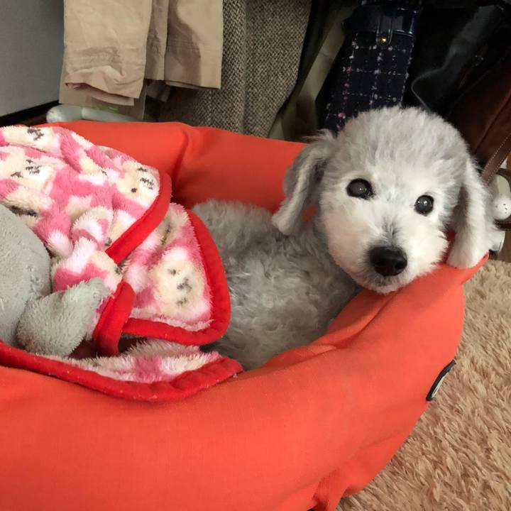 A72f389e cbb8 4d7c ac6f ba8d274f9d20 1576887514894