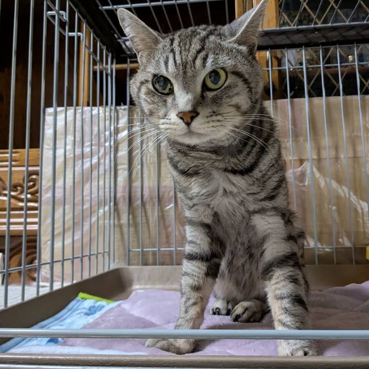 A72f3d9a fb7f 4adb 8ceb 21898ea16fc8 1742910344452