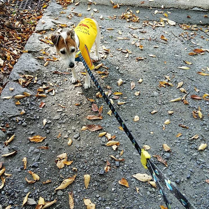 A72f443e e2e8 41c0 95ad 1df7548286d9 1542522052325