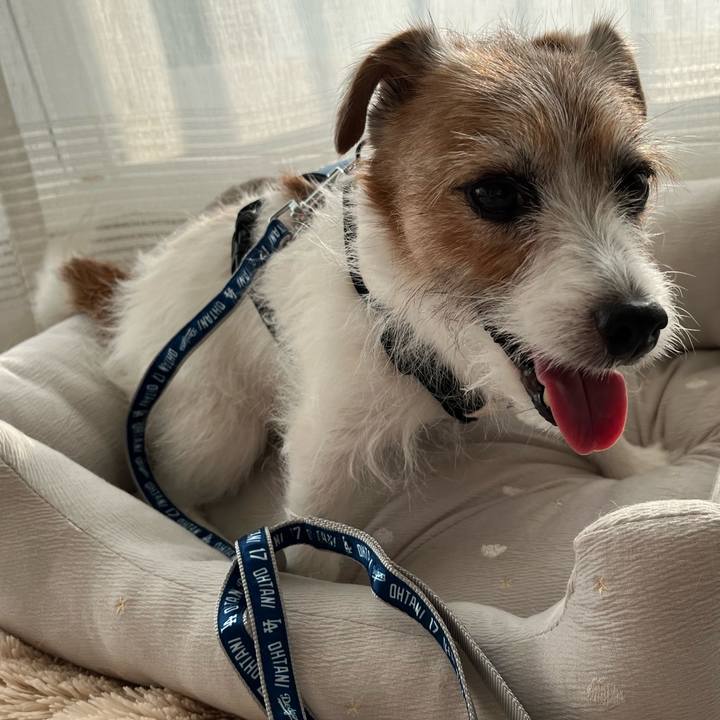 A72f5957 71f8 4305 bef3 00112b9e18c4 1762047070064