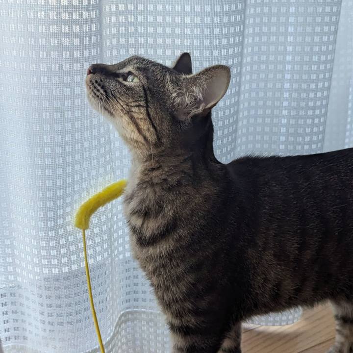 A72f63f3 41a5 4e3f 8265 d9d0af6bd44c 1736755468304