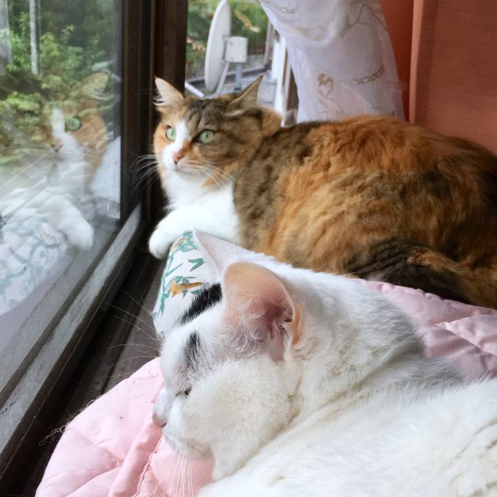 A72f6c42 9b6b 42b0 aede 258c537071cc 1569216489049