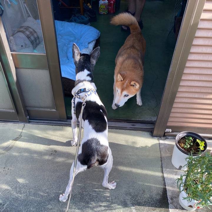 A72fc87e debe 49c3 97f4 76122b34aa24 1628640544775