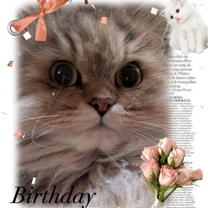 A72fef2b 44d2 4380 ab08 9ef0fbbaf281 1734331743403