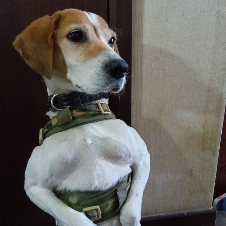 A7300c34 642a 4e35 83fa 38f08ebe66ce 1737100596964