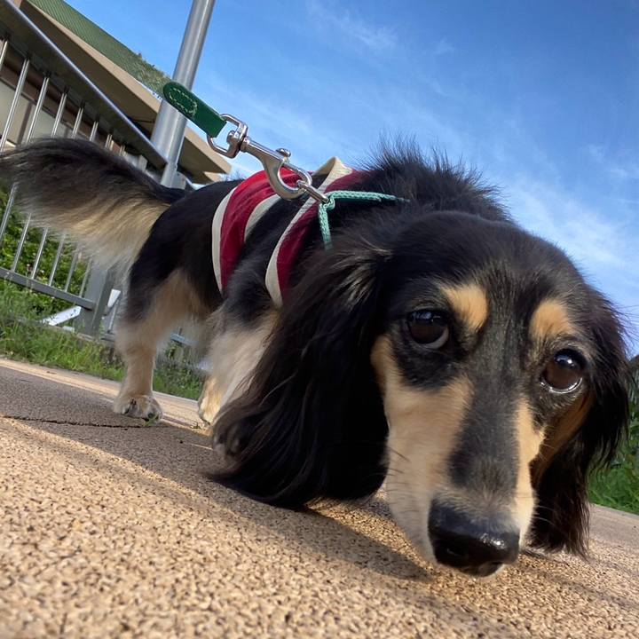 A7301420 31b5 4436 a3b8 3a0302ea8c03 1721992866344