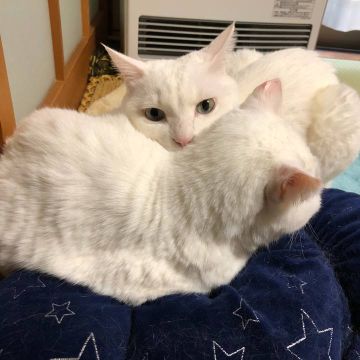 A7302b40 a24e 412f afd3 46b4d6d621e2 1578919562801