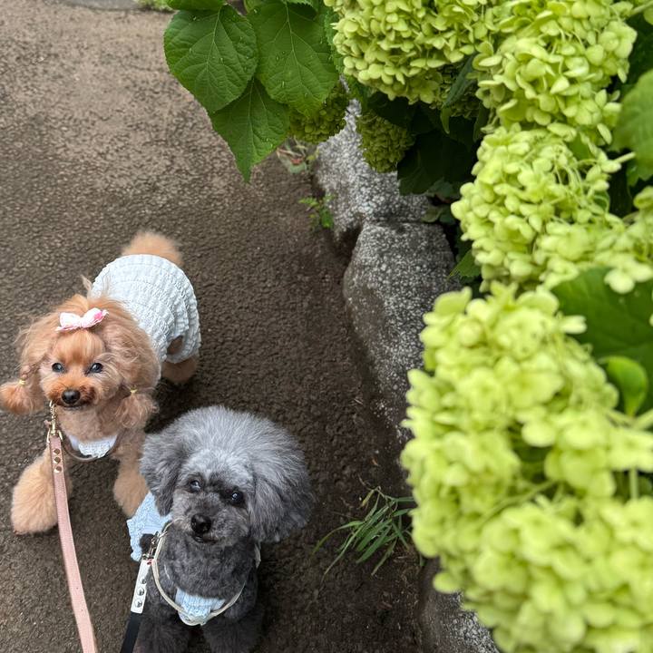 A7304209 8a5b 4665 8a2b 7f87bf0b7347 1752274959977